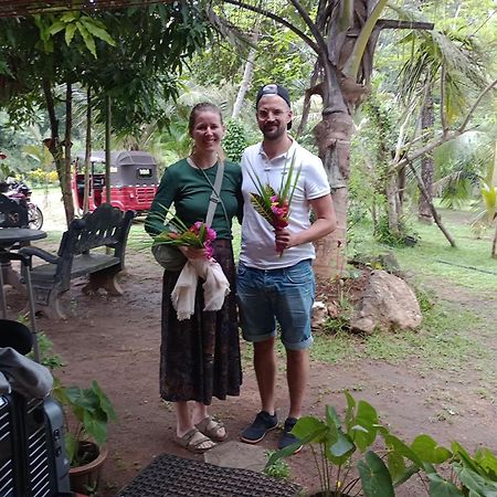 Jungle Eco Lodge & Safari 시기리야 외부 사진