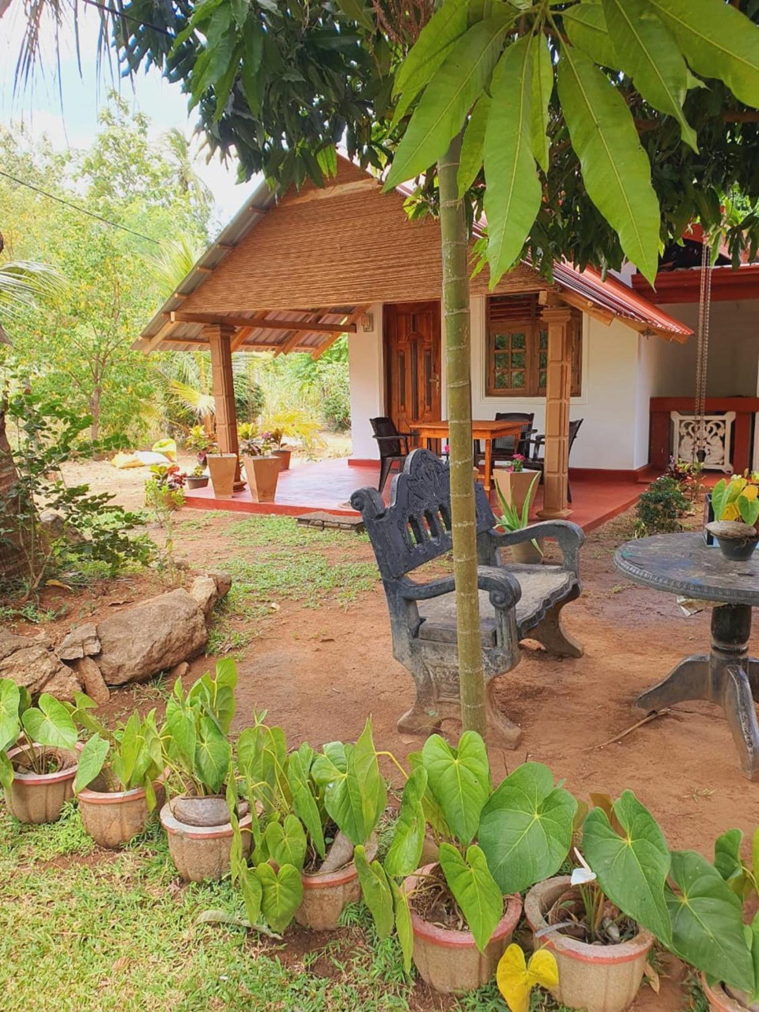 Jungle Eco Lodge & Safari 시기리야 외부 사진