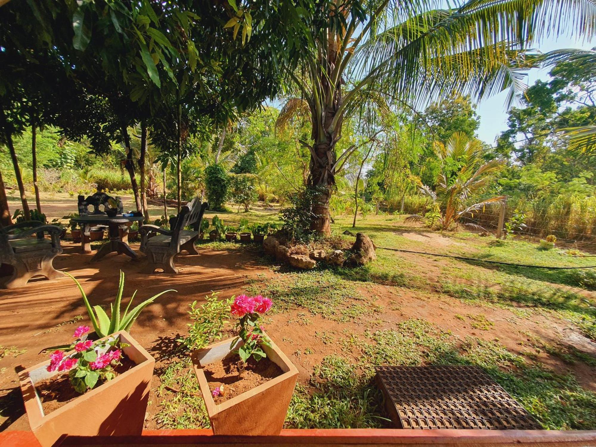 Jungle Eco Lodge & Safari 시기리야 외부 사진