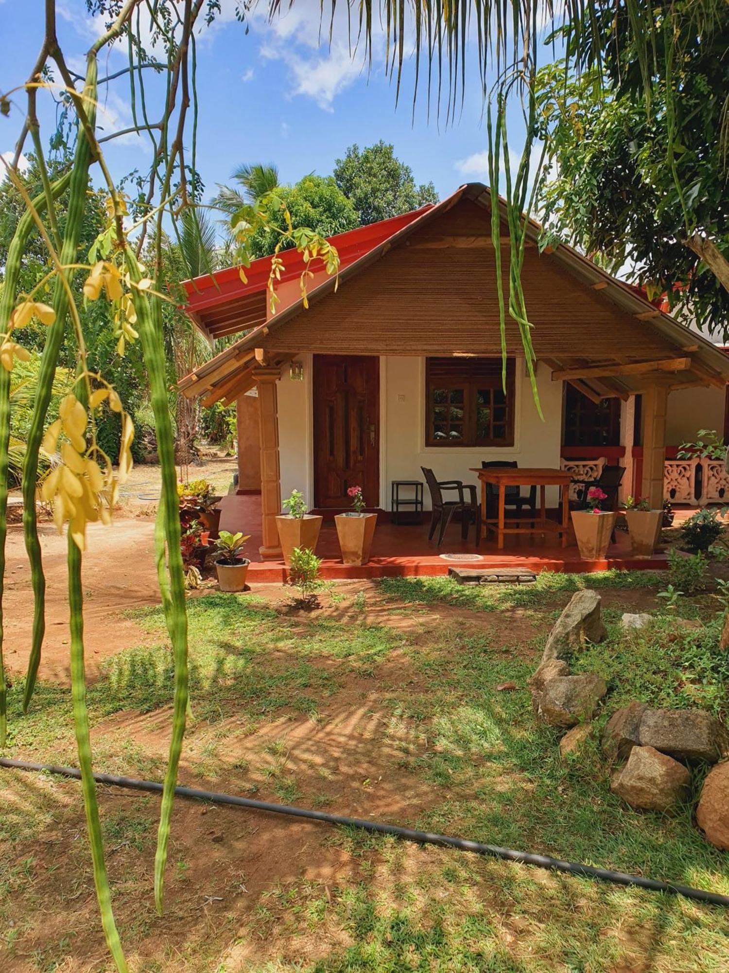 Jungle Eco Lodge & Safari 시기리야 외부 사진