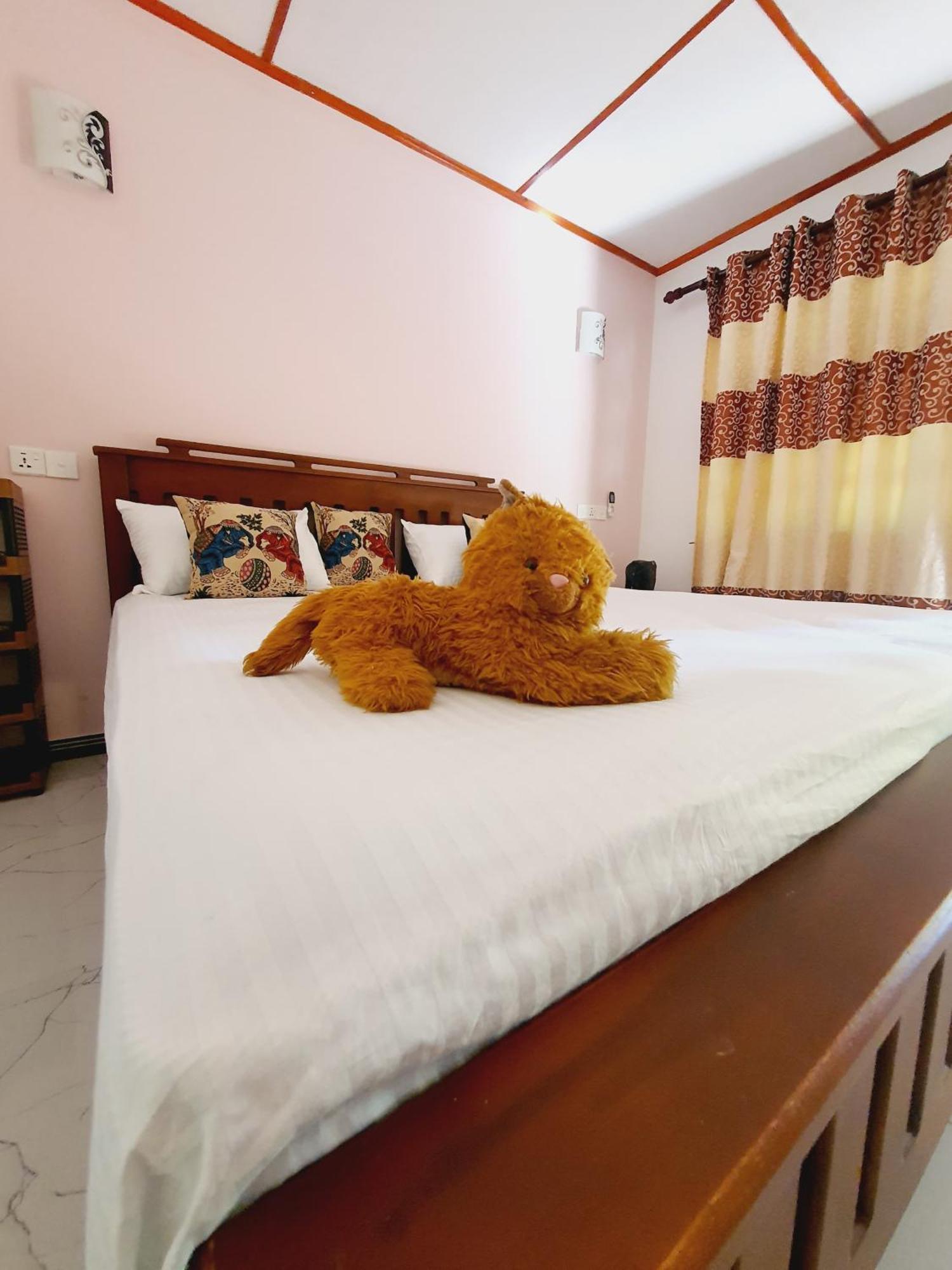 Jungle Eco Lodge & Safari 시기리야 외부 사진