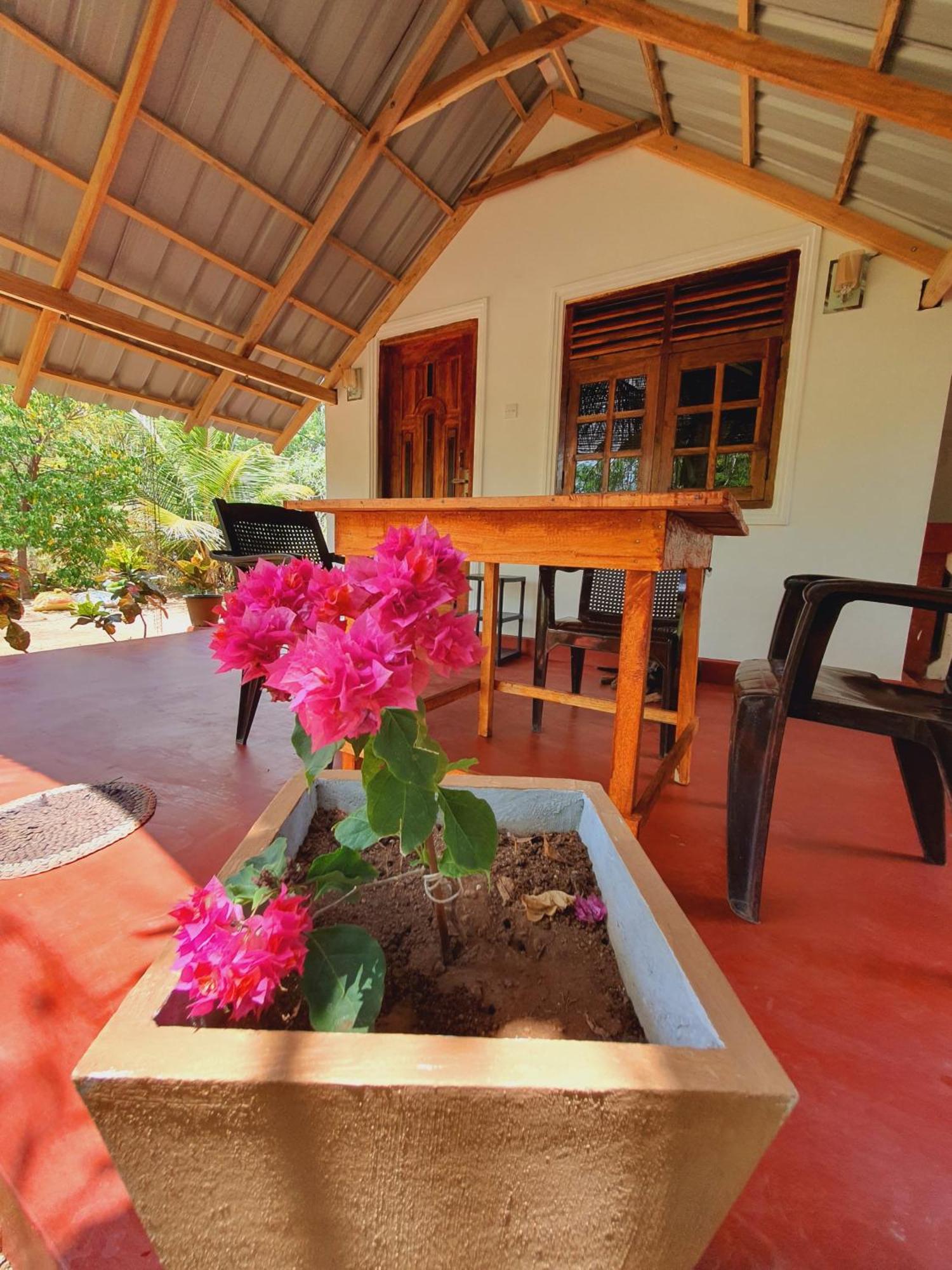 Jungle Eco Lodge & Safari 시기리야 외부 사진