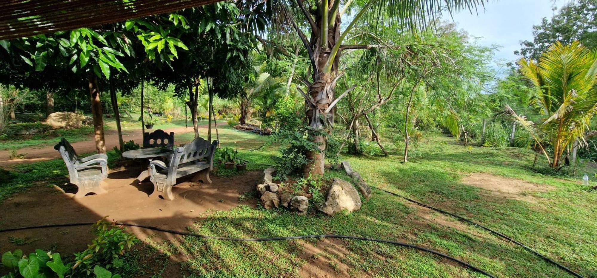 Jungle Eco Lodge & Safari 시기리야 외부 사진