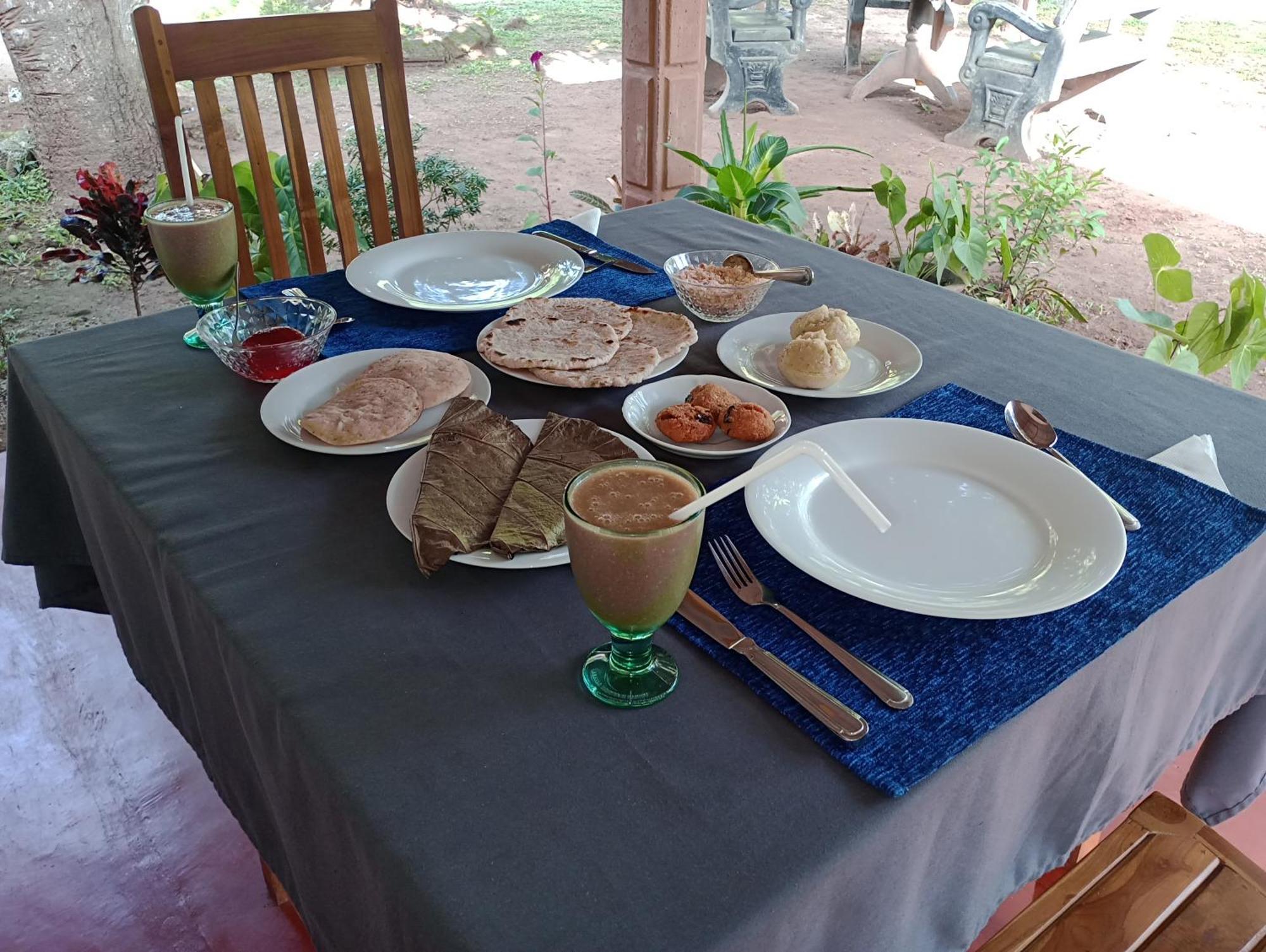 Jungle Eco Lodge & Safari 시기리야 외부 사진