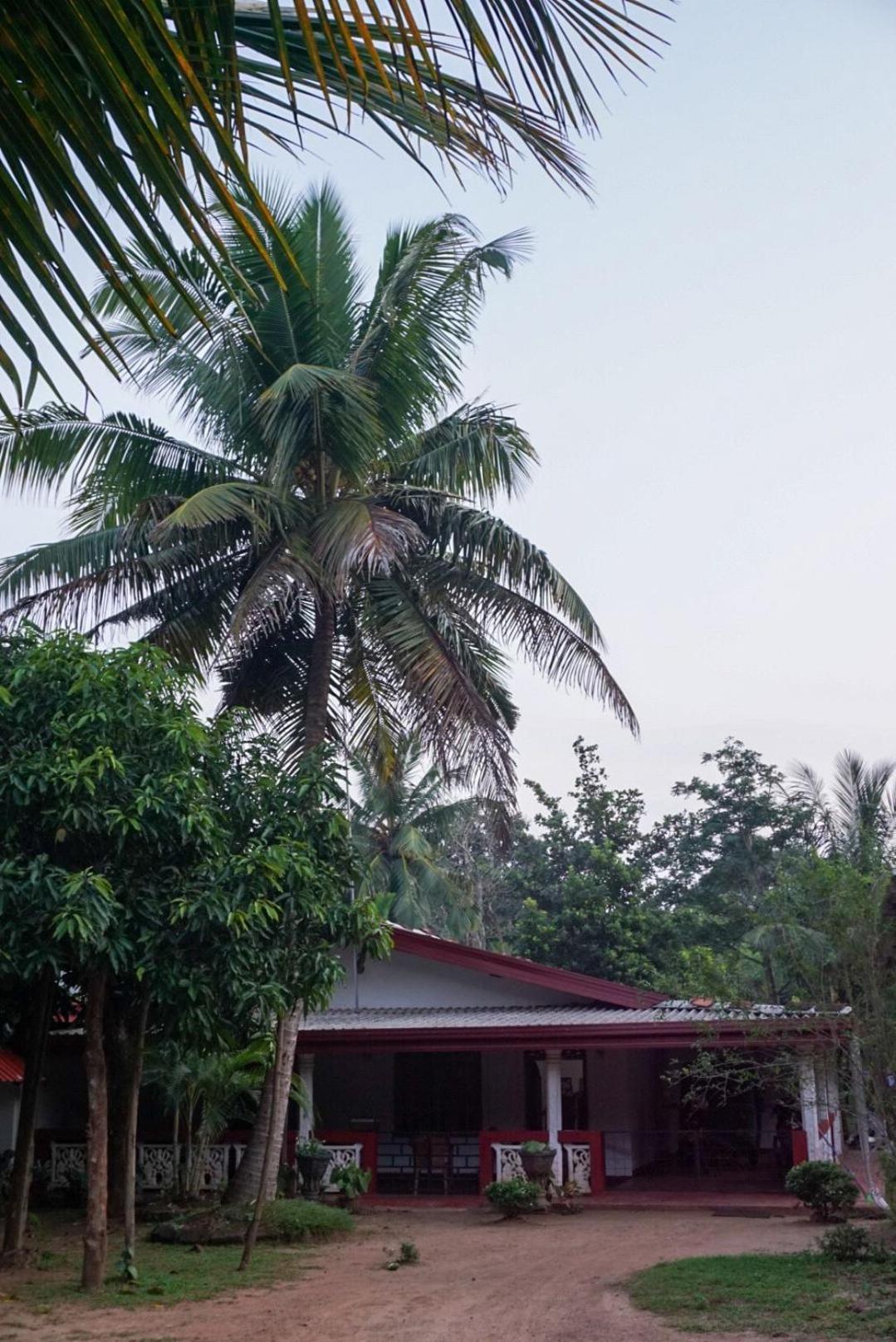 Jungle Eco Lodge & Safari 시기리야 외부 사진