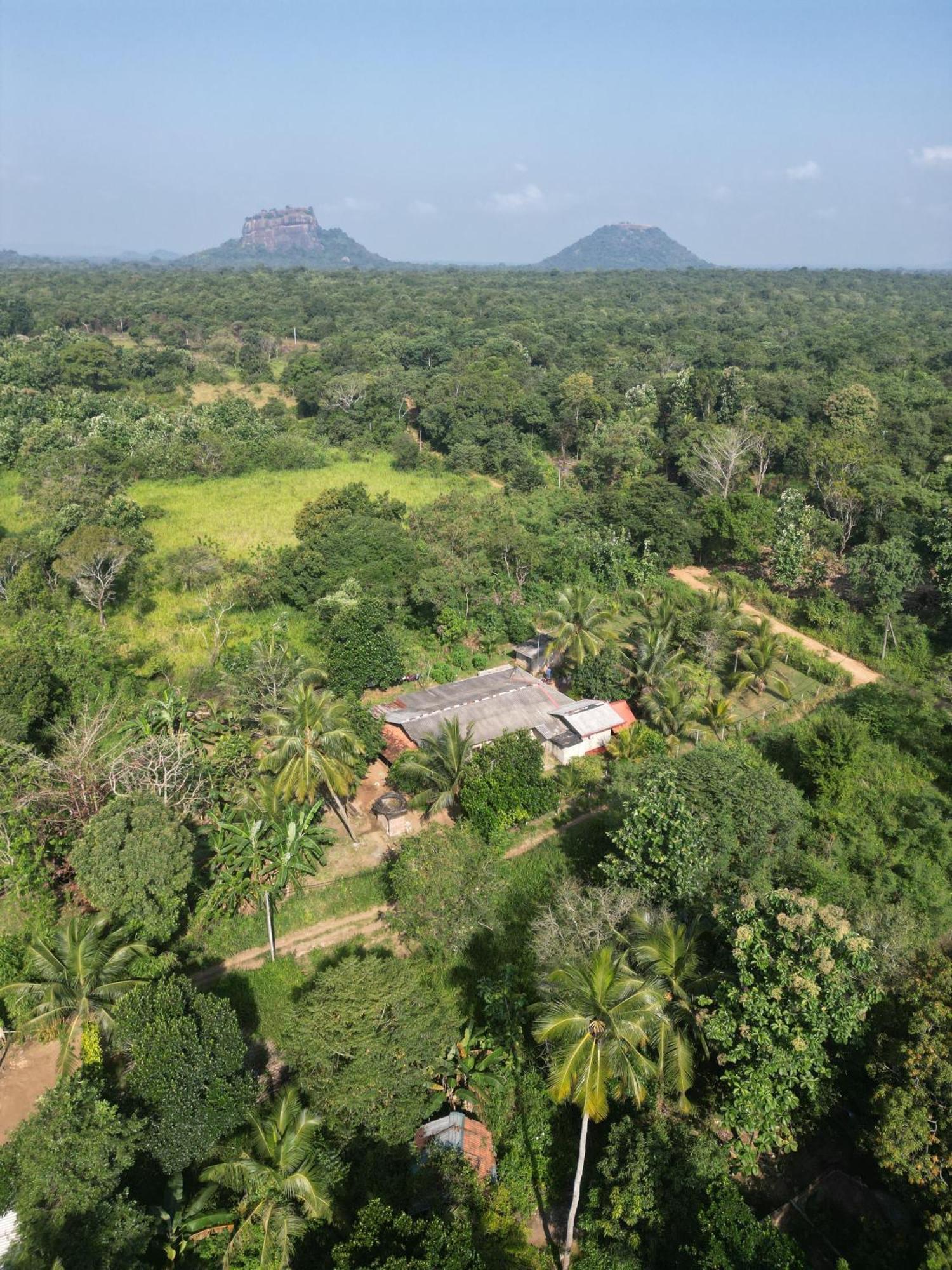 Jungle Eco Lodge & Safari 시기리야 외부 사진